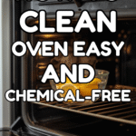 How to Clean Oven Easy